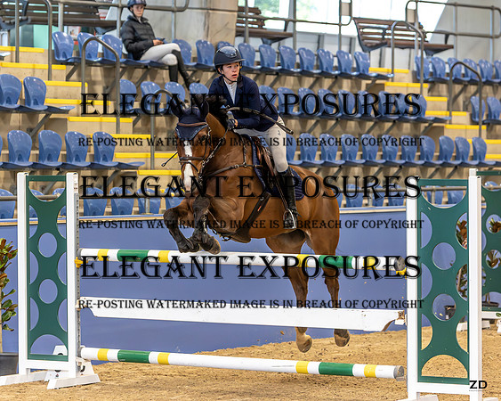 ZJD-1627