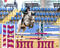 W/SJ - Sunday - Ring 2 - Class 39 - 1.20m YH - 16.8.2026
