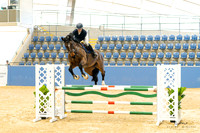 CM_2011