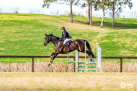 HM_8371