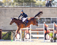 W/WC/SJ - Friday - Ring 1 - Class 12 - Futurity - 21.8.2026