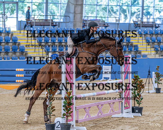 _LMW1258