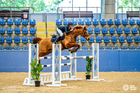 Ring 2 - Saturday - 22.8.2026