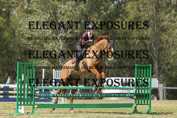 LHL(AJG)_8878