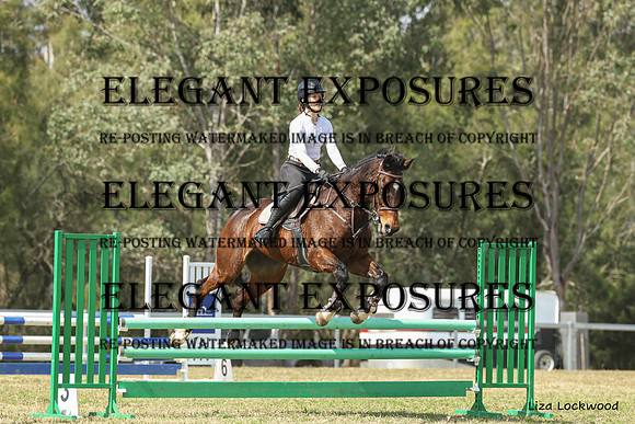 LHL(AJG)_8913