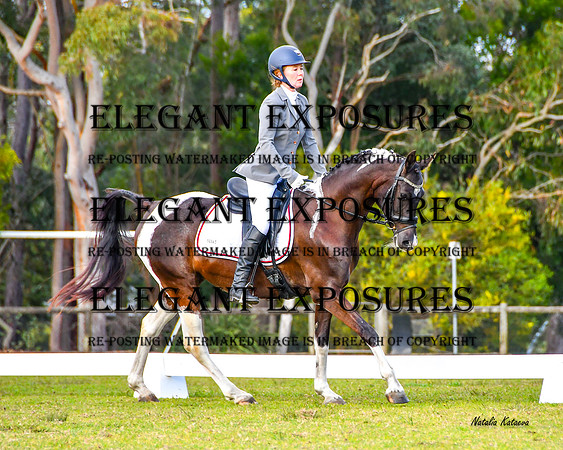 NYK(MS)-8384
