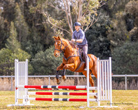 KMS-0222