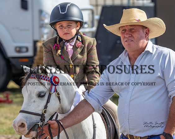 MAS_7203