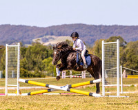 BRC - SJChamps - Ring 2 - Class 7a/b - 50cm - 30.8.2026