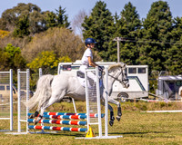 BRC - SJChamps - Ring 2 - Class 8a/b - 60cm - 30.8.2026