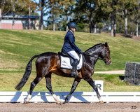 Syd Evt @ SIEC - Dressage Bookings 05.09.2026