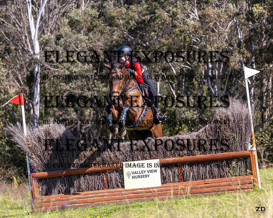 ZJD-7967