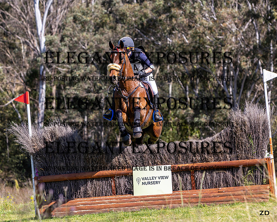 ZJD-8096