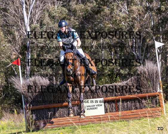 ZJD-8141
