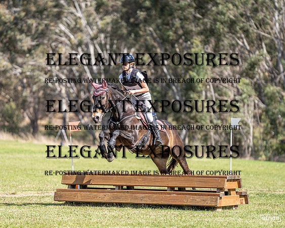 LMW04244