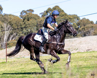 Syd Evt @ SIEC - XC - CCN3* - P3 - 06.09.2026