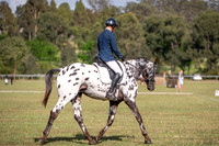 Equestriad - DR - CD11 - 9.11.2024