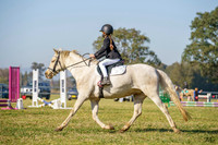 _AJG0356