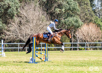 HM_8811