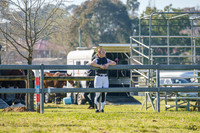 _AJG0468