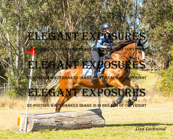 LHL(MS)-8394