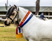 TSPS - Luddenham - Ring 2 - 04.06.2023