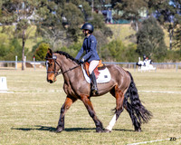 ZJD-0794