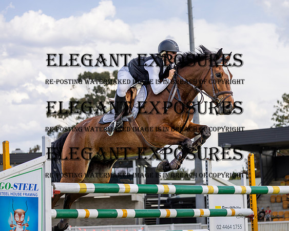Ma4-5954