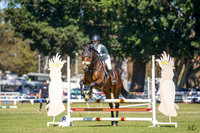 Nowra SJ - Ring 2 - Class 29 - 75cm - 20.9.2026