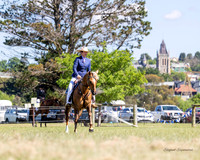 ASHS - Allrounder Showcase - Ring 3 - (PARTLOAD) 24.10.2026
