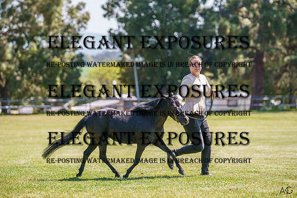 _AJG6944