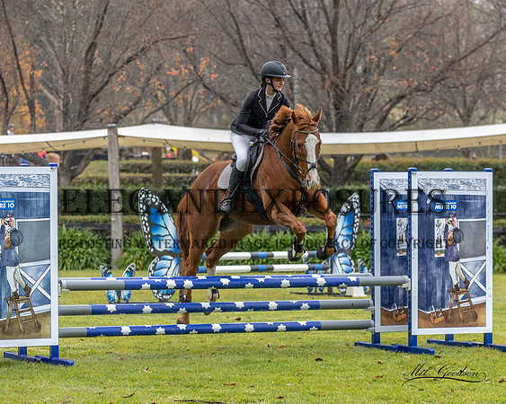 MKG_5247