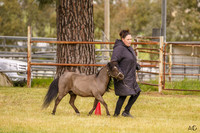 _AJG9258