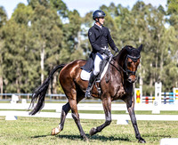 Dressage