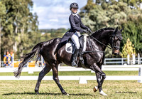 Equestriad - DR - Main Arena