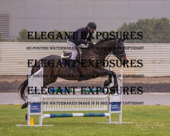 KMS-8101