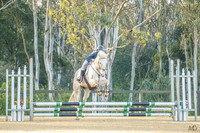 _AJG8208