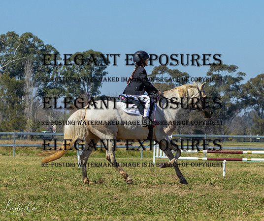 LLIMG_7302-