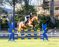 Nowra SJ - Ring 1 - Class 10a,b,c - 1.15m - 20.9.2026
