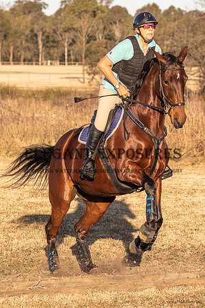 MHP_1591