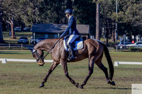 KAT-10196