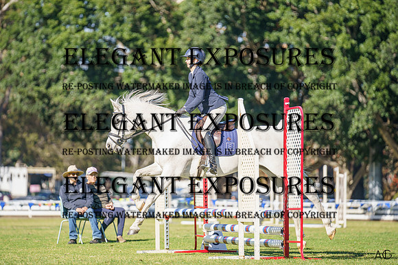 _AJG1864