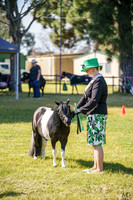 _AJG5631