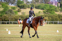 OLS_0981