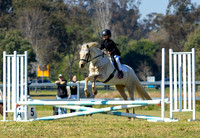 LLIMG_7303-