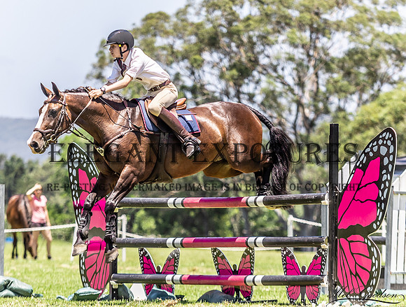MKG_8476