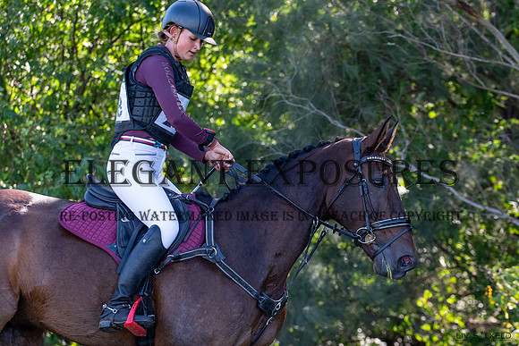 OLS_1175