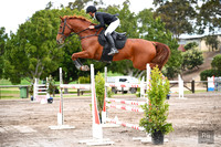 W/WC/SJ - Sun - Ring 2 - Class 35a/b -  Bored Equine,Edwena Mitchell 1.25m  - 18.08.2024