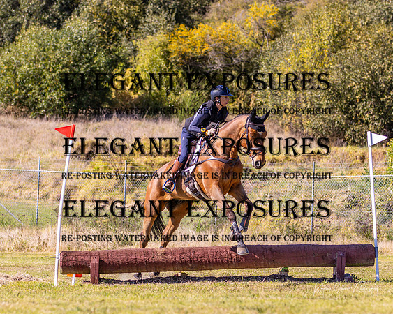 KMS-4491