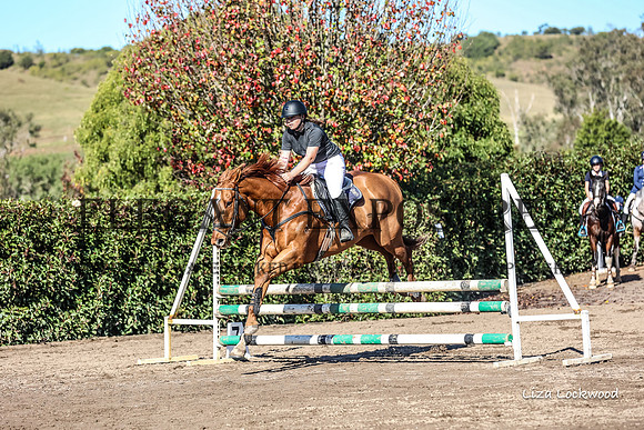 LHL(MS)-16